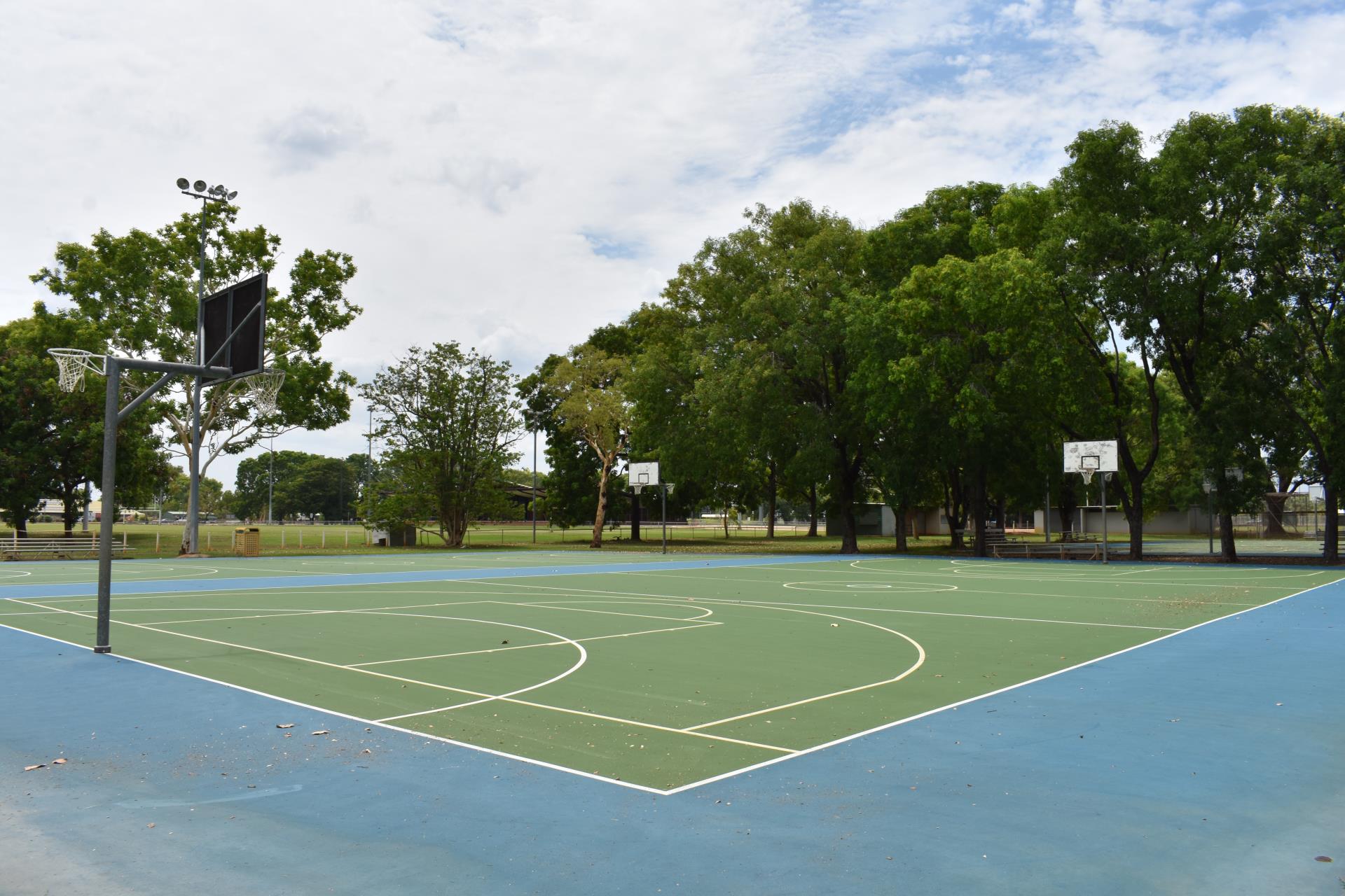 BASKETBALL AND NETBALL COURT