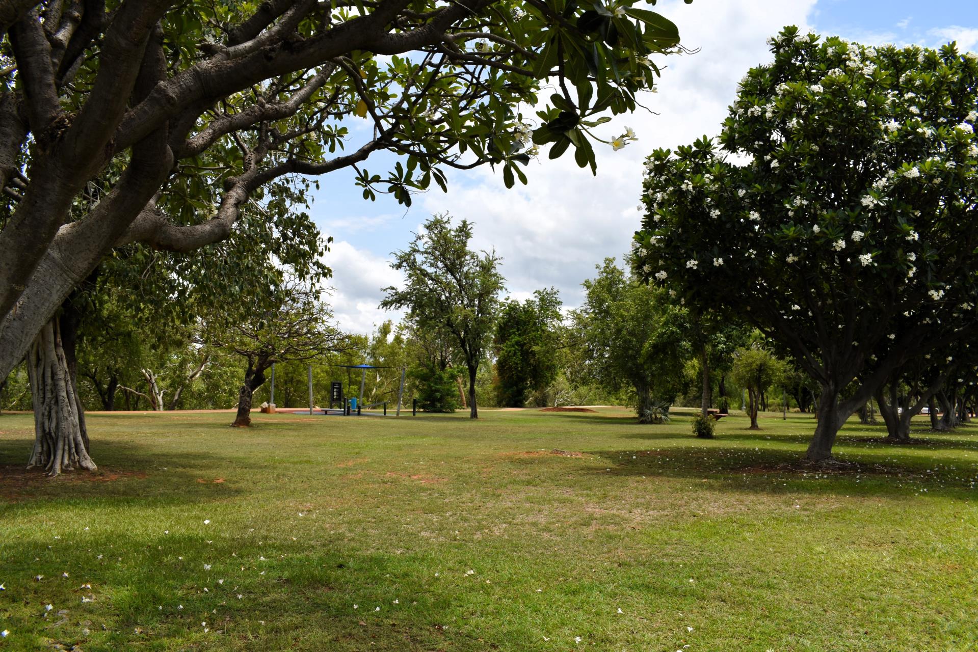 O'Shea Park