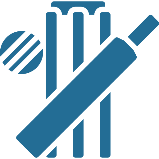 Cricket net icon