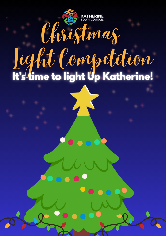 Christmas Lights Competition